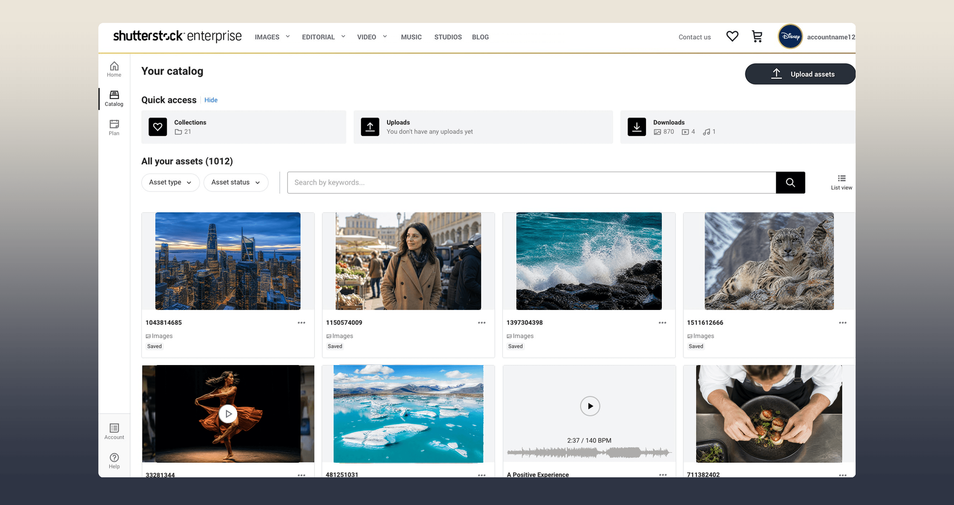 Shutterstock Enterprise catalog interface