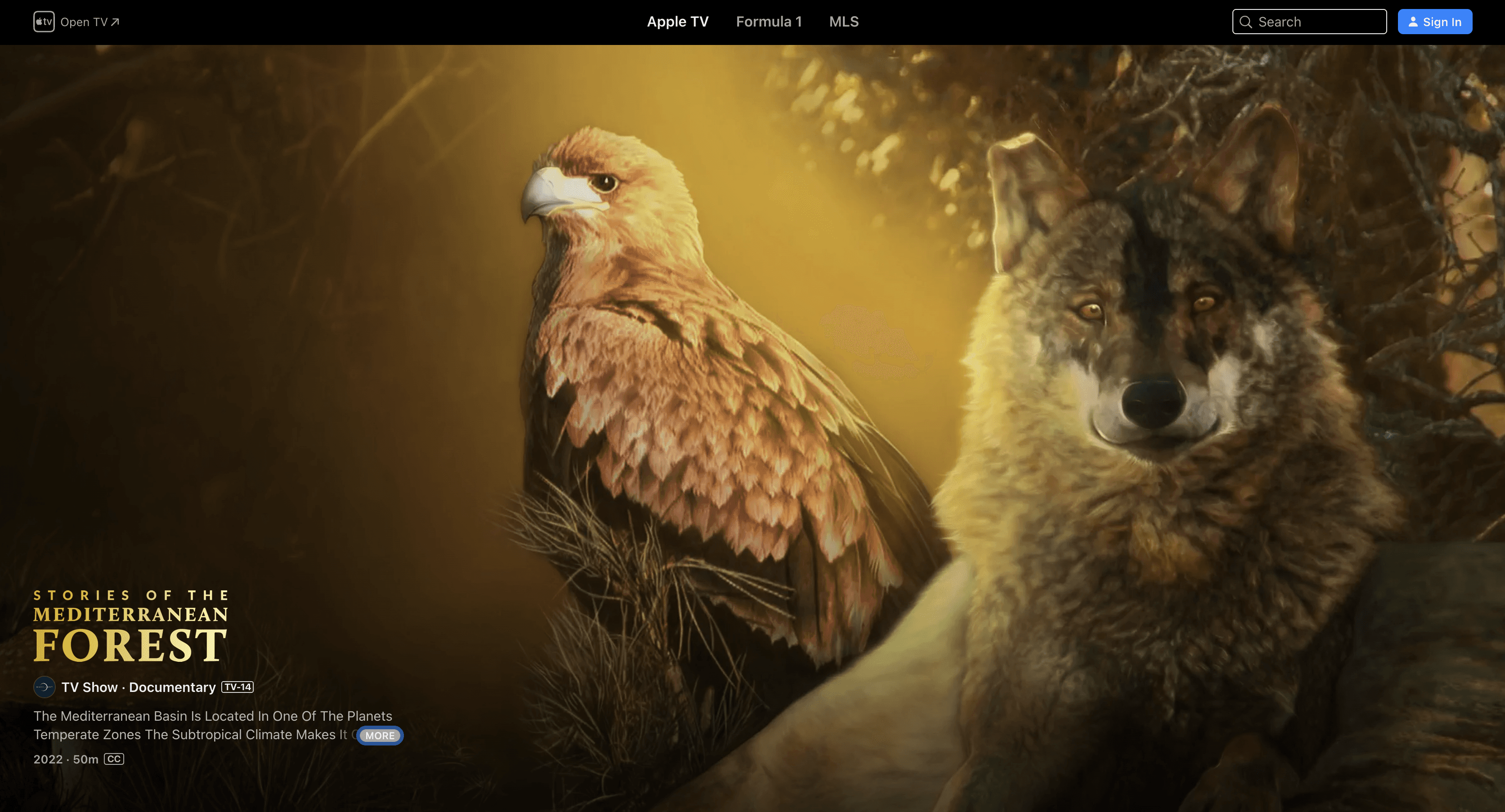 Apple TV streaming hero for Stories of the Mediterranean Forest, an eagle and a wolf in golden forest light