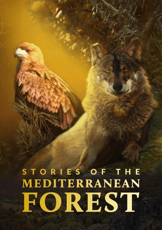 Vertical movie poster for Stories of the Mediterranean Forest